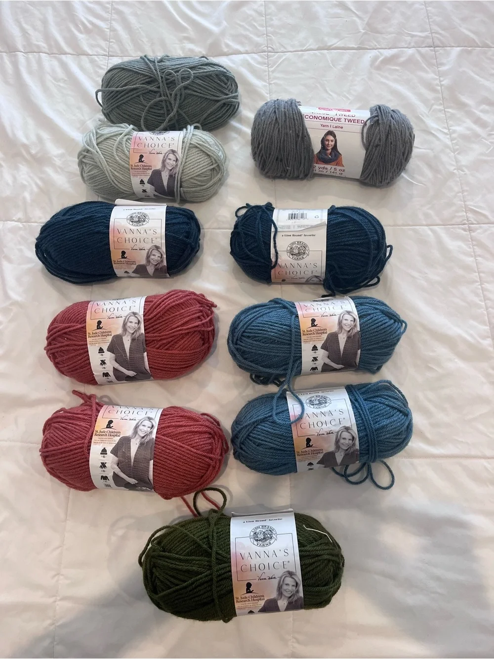 NEW LION BRAND YARN LOT OF 10 SKEINS Vanna’s Choice Autumn Fall Colors Mixed